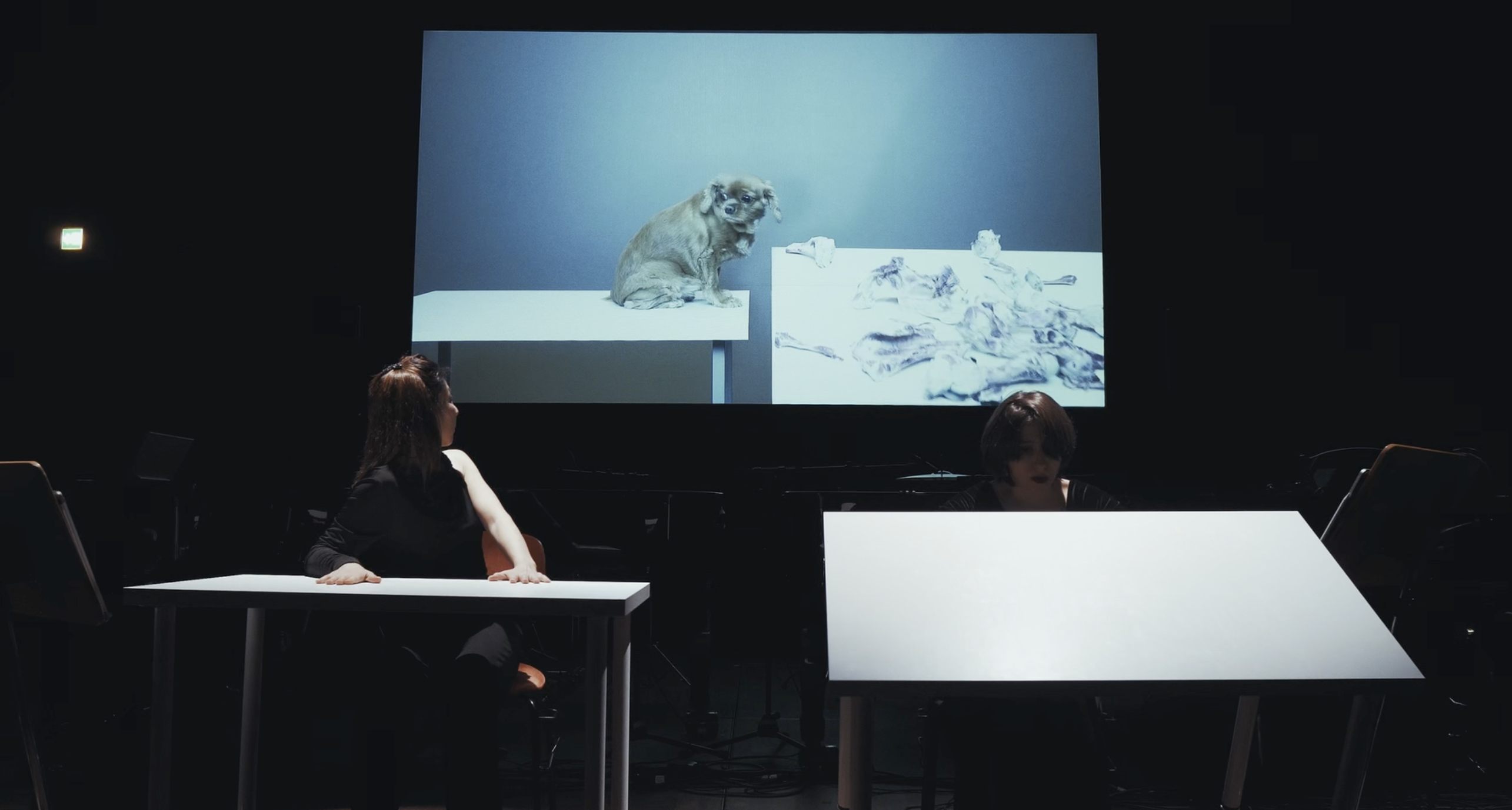 Vanitas14live.jpg, sept. 2025